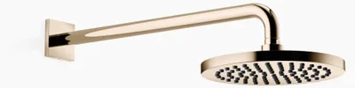 Immagine prodotto di Douche de pluie Dornbracht avec fixation murale, saillie 450mm, Ø 220mm, 28649670-47, 28649670-47