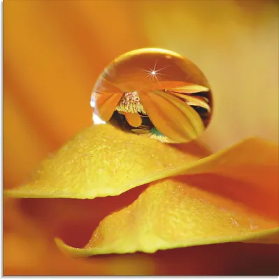 Produktbild von ARTland Glasbild Wassertropfen II Größe: 30x30 cm