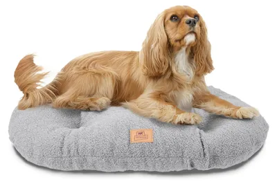 Image de Relax 65/6 Coussin Tissu Bouclã© - Ferplast France