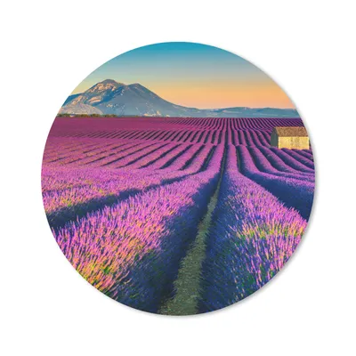 Produktbild von MuchoWow® Mauspad Mousepad Lavendel - Berg - Blumen 50x50 cm - Mousepads - Maus Mat - Pad - Mausunterlage - Vinyl