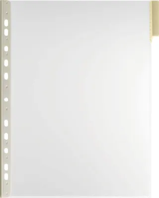 Produktbild von DURABLE Sichttafel FUNCTION PANEL A4, 560704 gelb