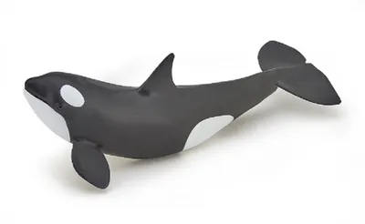 Obrázek produktu pro Papo 56040, 3 rok/roky, Marine life, Černá, Bílá, PVC