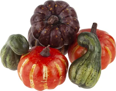 Image de Citrouilles artificielles dans un sac Citrouille Décoration d'automne Halloween
