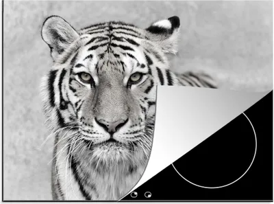 Produktbild von KitchenYeah© Herdabdeckplatte Tiger - Natur - Schwarz - Weiß , 77x59cm, Küche Deko, Glaskeramikkochfeld Herdabdeckung, Abdeckplatte fùr Kochfeld