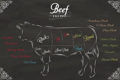Obrázek produktu pro Kulinářské umění Art Print Picture - Cuts Of Beef (120 x 180 cm)