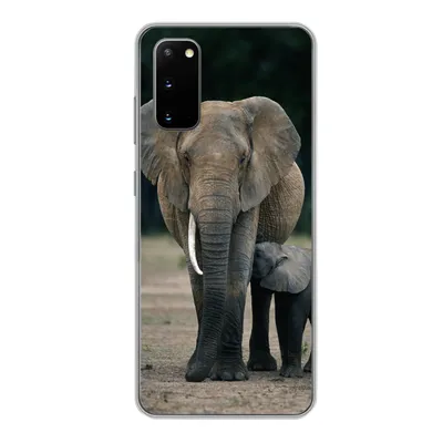 Produktbild von MuchoWow® Handyhülle Schutzhülle Hülle für Samsung Galaxy S20 Elefant - Tiere - Flachland - Natur Silikon Softcase Handy Hülle - Bild