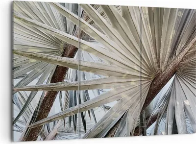 Produktbild von Bild auf Leinwand - Leinwandbild - 3 Teile - Blatt Palme Natur - 105x70cm - Wand Bild - Wanddeko - Wandbilder - Leinwanddruck - Bilder - Wanddekoration - Leinwand bilder - Wandbild - CE105x70-5056