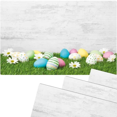 Produktbild von Abwaschbare Tischsets 4er Set Ostern Gänseblümchen Blumen