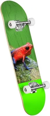Obrázek produktu pro Mini-Logo Poison Tree Frog Complete 7.75