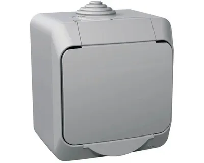 Immagine prodotto di Presa Schneider Electric WDE000640 Cedar plus 2P+PE grigia