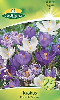 Produktbild von Krokus großblumig Mischung (25 Stück) | Krokuszwiebeln von Quedlinburger