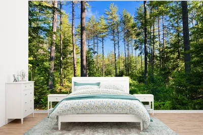 Produktbild von MuchoWow® Fototapete für Wohnzimmer oder Schlafzimmer Wandtapete Vinyl Motivtapete Wald in Maine - 375x280 cm - Schlafzimmer tapete