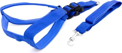 Produktbild von Hundegeschirr und Hundeführleine Set für mittelgroße und große Hunde XL Führleine Brustgeschirr verstellbar 75 bis 95cm Nylon Blau Hundeleine