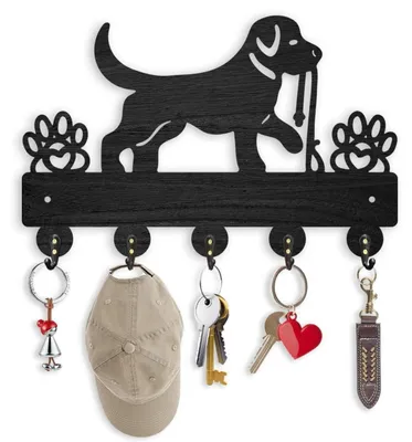 Immagine prodotto di Gancio a parete per guinzaglio da cane e portachiavi, dimensioni 30x16,9 cm, con 5 ganci