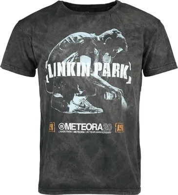 Produktbild von Linkin Park T-Shirt Herren Only Guy grau Band-Merch, Bands 100% Baumwolle L