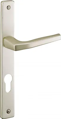 Produktbild von Komplettset Türklinken für Haustüren, mit Zylinderloch, Mittelteilabstand 195 mm, Vierkantstift 7 mm, Farbe Champagner - THIRARD