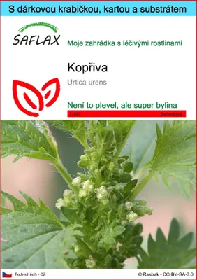 Obrázek produktu pro SAFLAX Dárková sada - kopřiva - Urtica urens - 150 Semena - S dárkovou krabičkou, přepravním štítkem, dárkovou kartou a pěstebním médiem