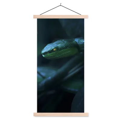 Produktbild von MuchoWow® Textilposter Schlange - Makro - Holz 60x120 cm mit holzfarbenen Rahmen - Holz