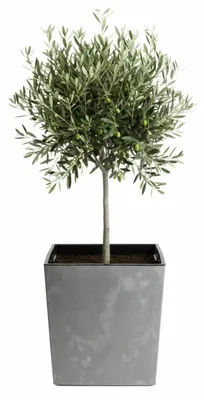 Obrázok produktu pre HowHomely | Kvetináč – 41 x 39 x 39 cm – sivý – obal na kvetináč – betónová štruktúra – nenáročný na údržbu