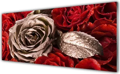 Produktbild von Glasbilder 125x50 Wandbild Druck auf Glas Roses Pflanzen