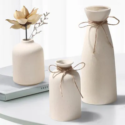 Image de Ensemble de 3 vases décoratifs beige, idéal pour les fleurs séchées