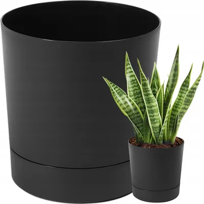Produktbild von Lamela Blumentopf | Aura | mit Untertasse | Schwarz | 22.5 cm