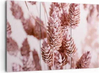 Produktbild von Bild auf Leinwand - Leinwandbild - 3 Teile - Getrocknet Blume Eco - 165x110cm - Wand Bild - Wanddeko - Wandbilder - Leinwanddruck - Bilder - Wanddekoration - Leinwand bilder - CE165x110-4912