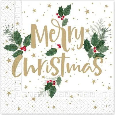Obrázek produktu pro Procos Ubrousky Vánoční Merry Christmas 3Vrstvé 33X33Cm_Extutc