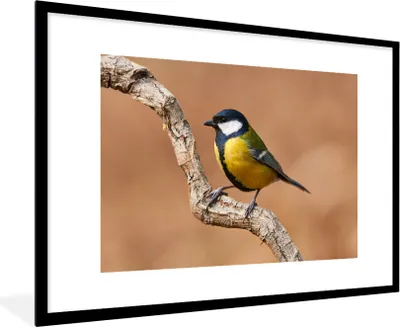 Produktbild von MuchoWow® Gerahmtes Poster Vogel - Kohlmeise - Zweige 90x60 cm - Poster mit Schwarzem Bilderrahmen Wandposter Rahmen Foto Bilder - Wanddekoration - Fotos