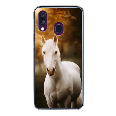 Produktbild von MuchoWow® Handyhülle Schutzhülle Hülle für Samsung Galaxy A40 Pferd - Licht - Sonne Silikon Softcase Handy Hülle - Handy-Tasche