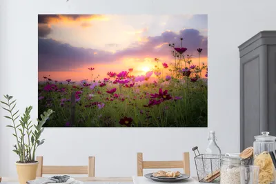 Produktbild von MuchoWow® - Selbstklebend - Fototapeten