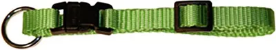 Obrázok produktu pre Obojok pre psov Miami, 20 - 35 cm x 10 mm, zelený, Kerbl