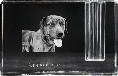 Produktbild von Catahoula Leopard Dog, Catahoula Cur - Stifthalter, Kristallorganizer mit Hundefoto, einzigartige Schreibtischdekoration der Marke Art-Dog