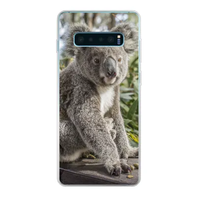 Produktbild von MuchoWow® Handyhülle Schutzhülle Hülle für Samsung Galaxy S10 Plus Koala - Holz - Pflanzen - Kinder - Jungen - Mädchen Silikon Softcase Handy Hülle - Schutzhülle