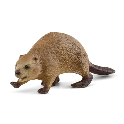 Produktbild von Schleich® Wild Life 14855 Biber Spielfigur