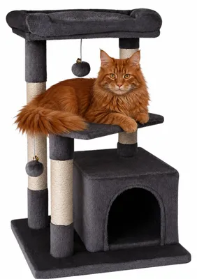 Image de lionto Arbre à chat 75 cm avec grotte, lit de repos & surface en sisal, compact & stable, idéal pour le jeu, le repos & le soin des griffes, gris foncé