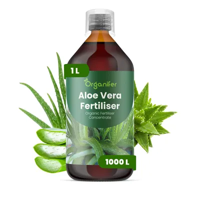 Produktbild von Aloe Vera Flüssigdünger 1L – 2-1-8 NPK – Flüssigdünger Für Sukkulenten – Für Starke Blätter & Gesunde Pflanzen – Organifer