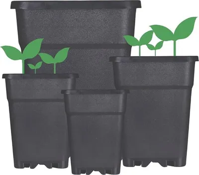 Several black plastic plant pots of varying sizes are arranged in a group, with stylized green plant sprouts emerging from some of them.