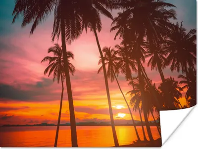 Produktbild von MuchoWow® Poster Meer - Palme - Sonnenuntergang - Strand - Silhouette 120x90 cm - Wandbild