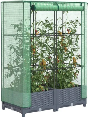 Image de Maison Exclusive - Potager surélevé avec serre intégrée, aspect rotin, 80 x 40 x 123 cm