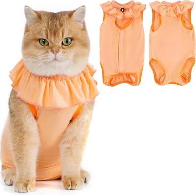 Image de Combinaison de récupération post-opératoire en modal pour chats Suit MEDIUM Apricot