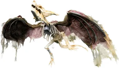 Zdjęcie produktu dla Figurka dekoracyjna na Halloween "Latający szkielet smoka" Animowana | 90 cm