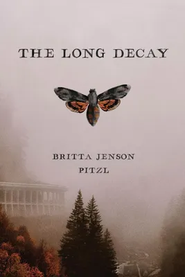 Produktbild von The Long Decay