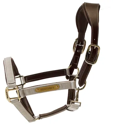 Produktbild von Kentucky Horsewear Nylon Halfter anatomisch