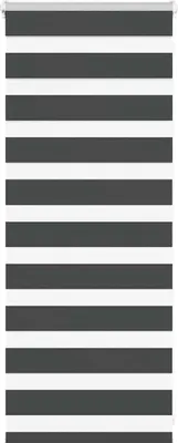 Produktbild von Doppelrollo Schwarz 60x100 cm Stoffbreite 55,9 cm Polyester
