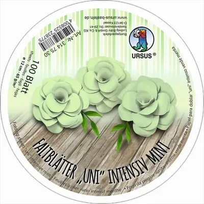 Produktbild von Intensive Faltblätter 'uni' Durchmesser 12cm 65g/qm VE=100 Blatt mint