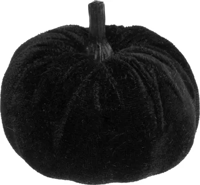 Immagine prodotto di Zucca di velluto nero 7 cm -