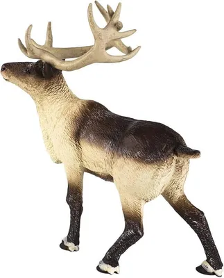 Obrázek produktu pro Safari Ltd. – Figurka soba 277929