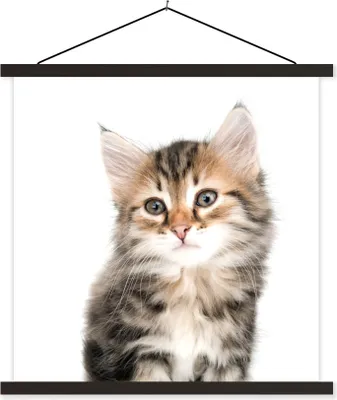 Produktbild von MuchoWow® Textilposter Kätzchen - Weiß - Nase - Mädchen - Kinder - Jungen - Kinder 120x120 cm mit schwarzem Rahmen - Aufhängungsset