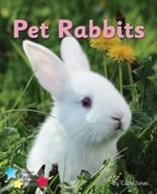 Produktbild von Pet Rabbits